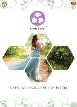 Birla Excel