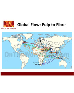 Global Flow: Pulp to Fibre